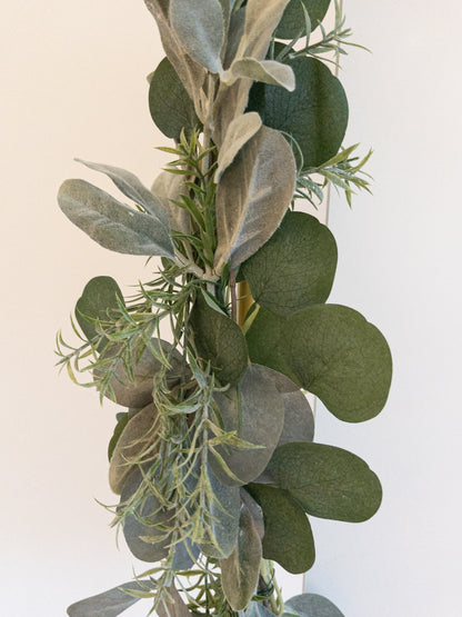 Eucalyptus guirlande | Doris